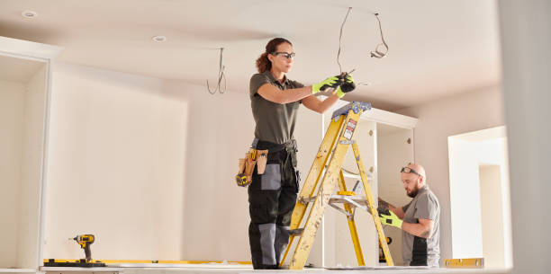 Best Electric Panel Repair  in Ely, NV